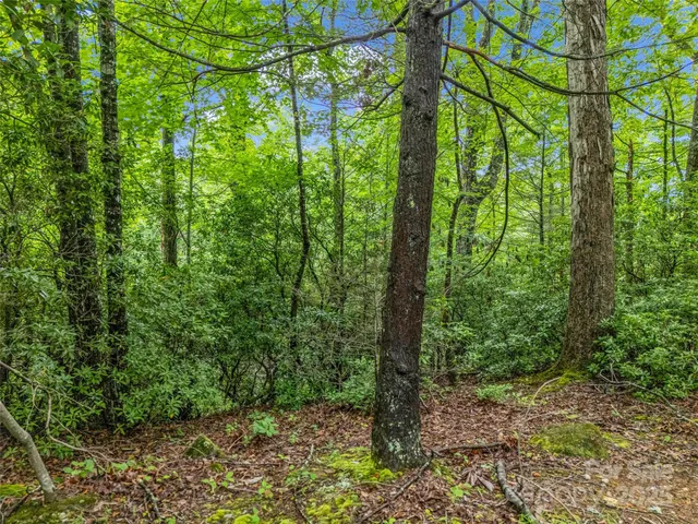 $10,000 | 0 Quail Ridge Road, Unit 214, Tryon, NC 28782