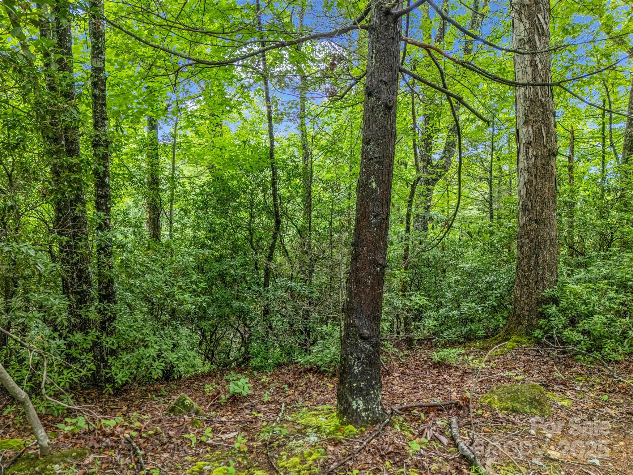 0 Quail Ridge Road, Unit 214 Tryon, NC 28782 - Photo 22 of 38