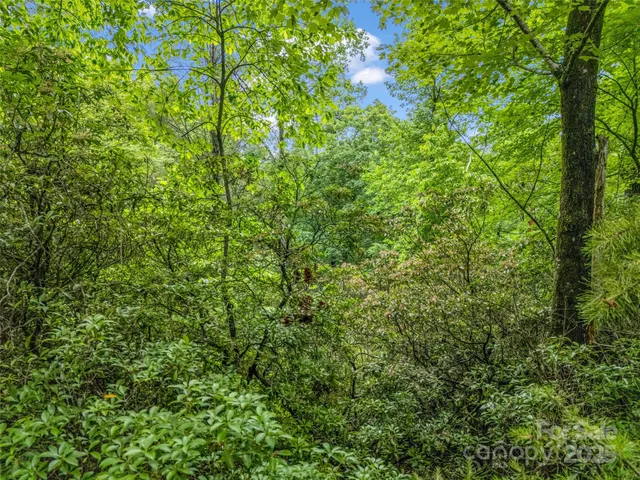 $10,000 | 0 Quail Ridge Road, Unit 214, Tryon, NC 28782