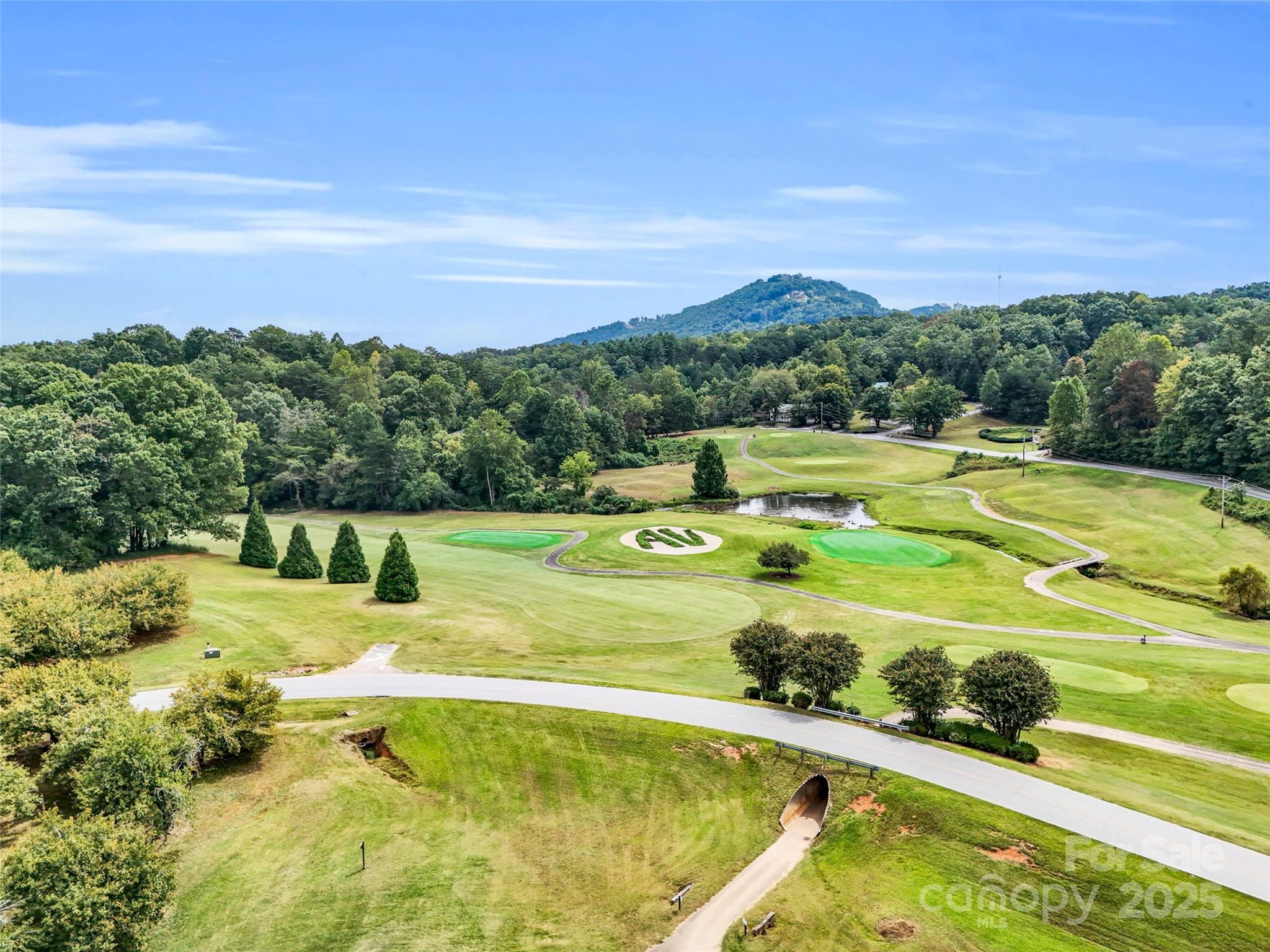 0 Quail Ridge Road, Unit 214 Tryon, NC 28782 - Photo 28 of 38
