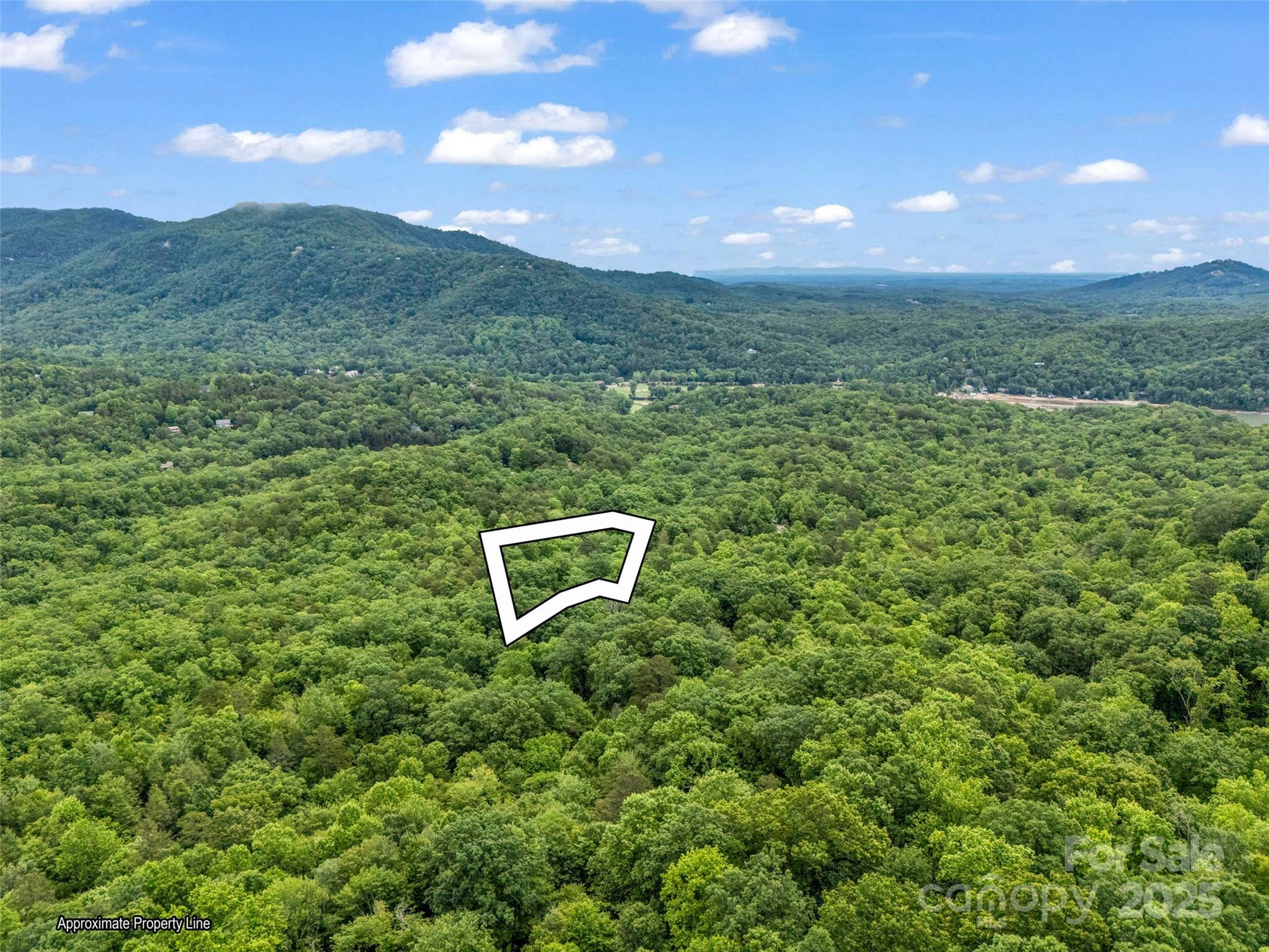 0 Quail Ridge Road, Unit 214 Tryon, NC 28782 - Photo 3 of 38