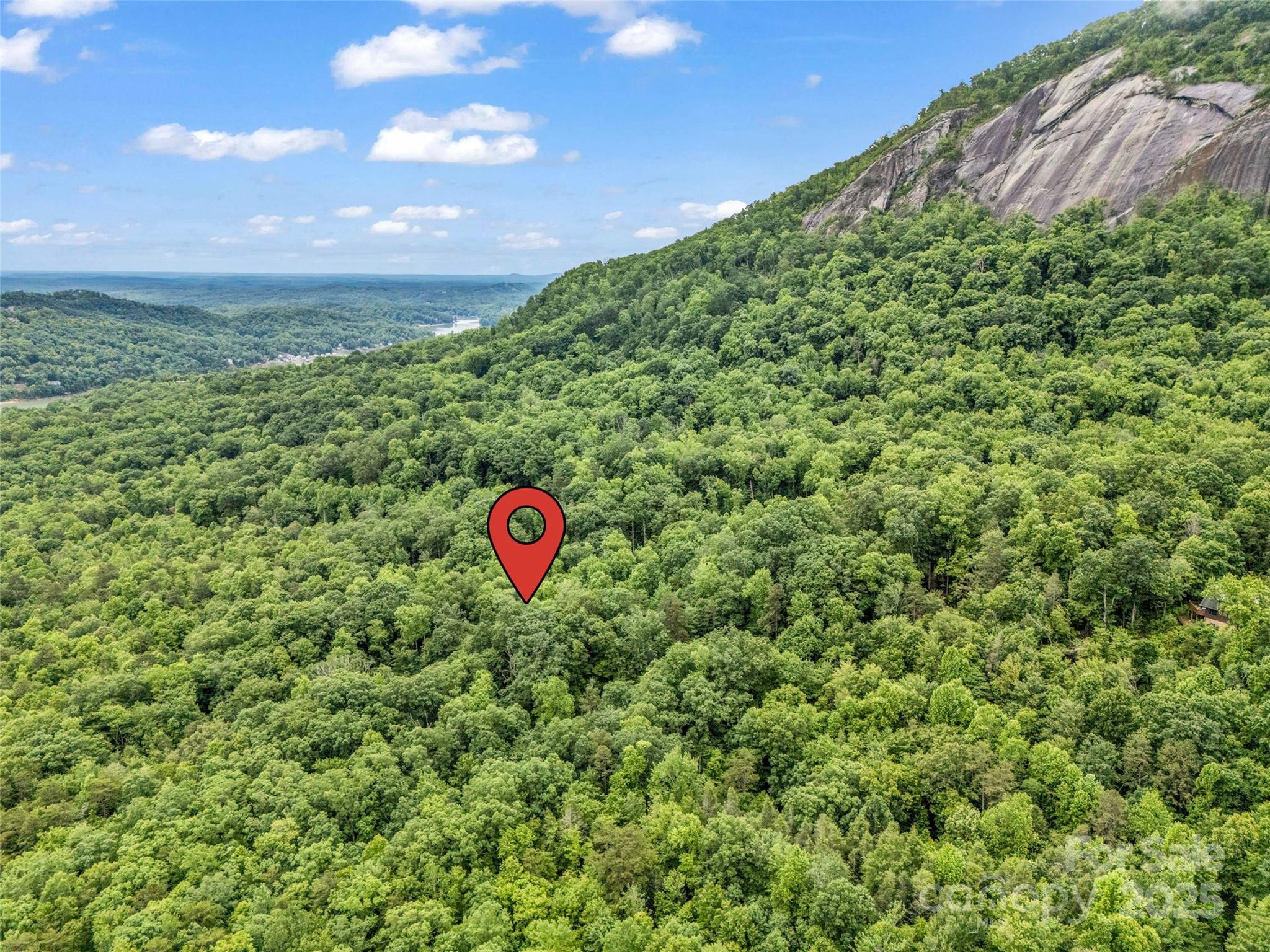 0 Quail Ridge Road, Unit 214 Tryon, NC 28782 - Photo 5 of 38