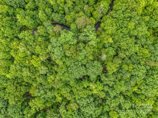 $10,000 | 0 Quail Ridge Road, Unit 214, Tryon, NC 28782