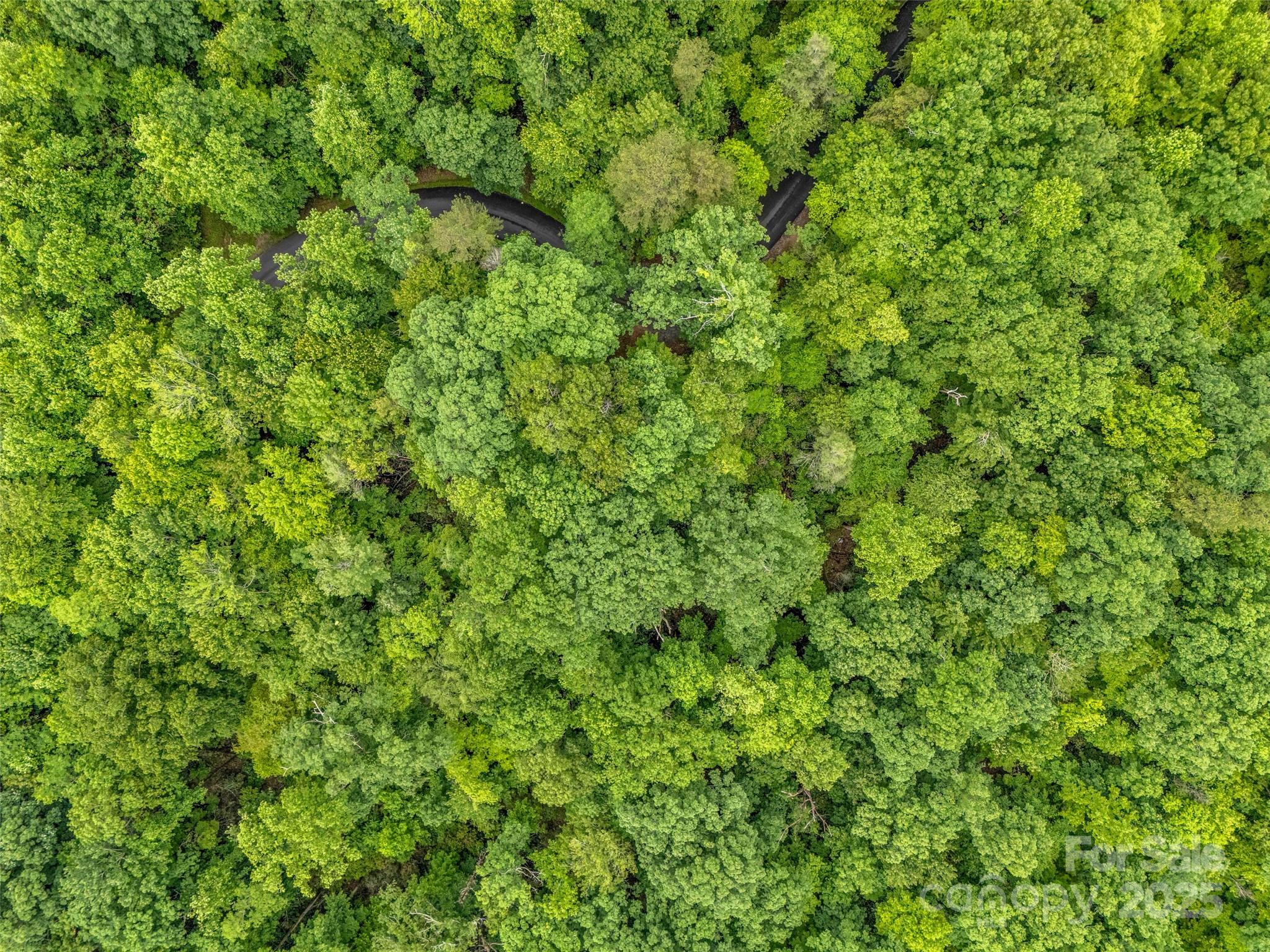 0 Quail Ridge Road, Unit 214 Tryon, NC 28782 - Photo 6 of 38