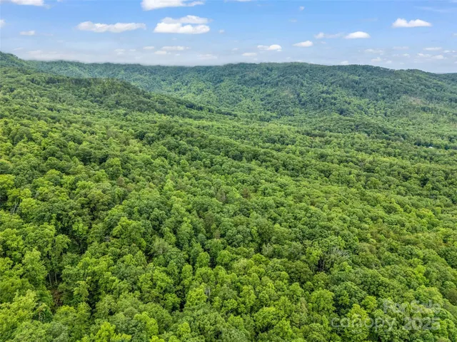 $10,000 | 0 Quail Ridge Road, Unit 214, Tryon, NC 28782