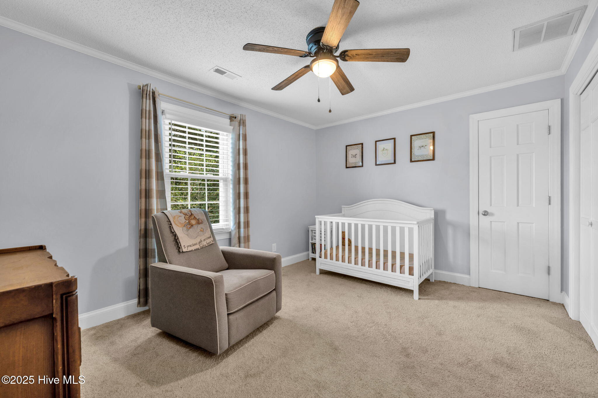 3758 Emma Cannon Road Ayden, NC 28513 - Photo 26 of 46 27-web-or-mls-untitled-21