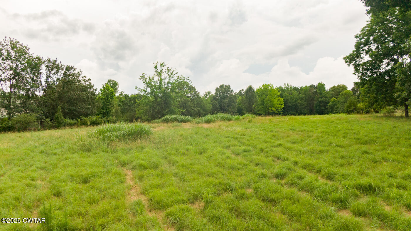 3431 Old Reagan Road Sardis, TN 38371 - Photo 8 of 25 06-13 Old Reagan Rd-16 No.10