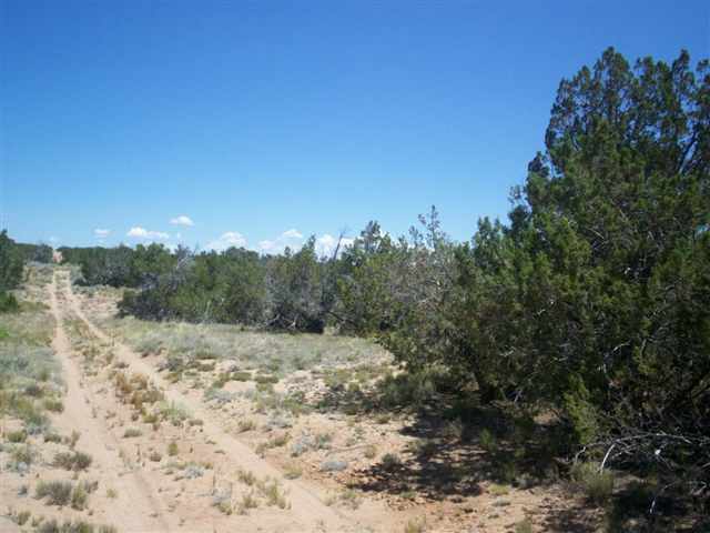 9 Sec 19 T17n R27e Chambers, AZ 86502 - Photo 12 of 14
