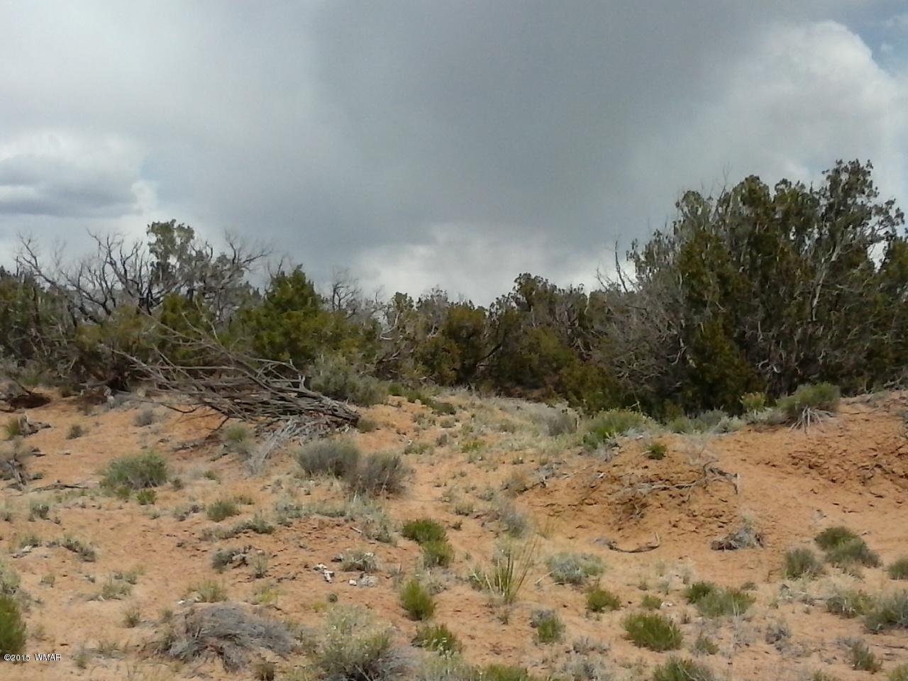 9 Sec 19 T17n R27e Chambers, AZ 86502 - Photo 14 of 14