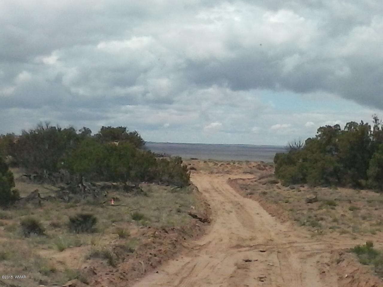 9 Sec 19 T17n R27e Chambers, AZ 86502 - Photo 2 of 14