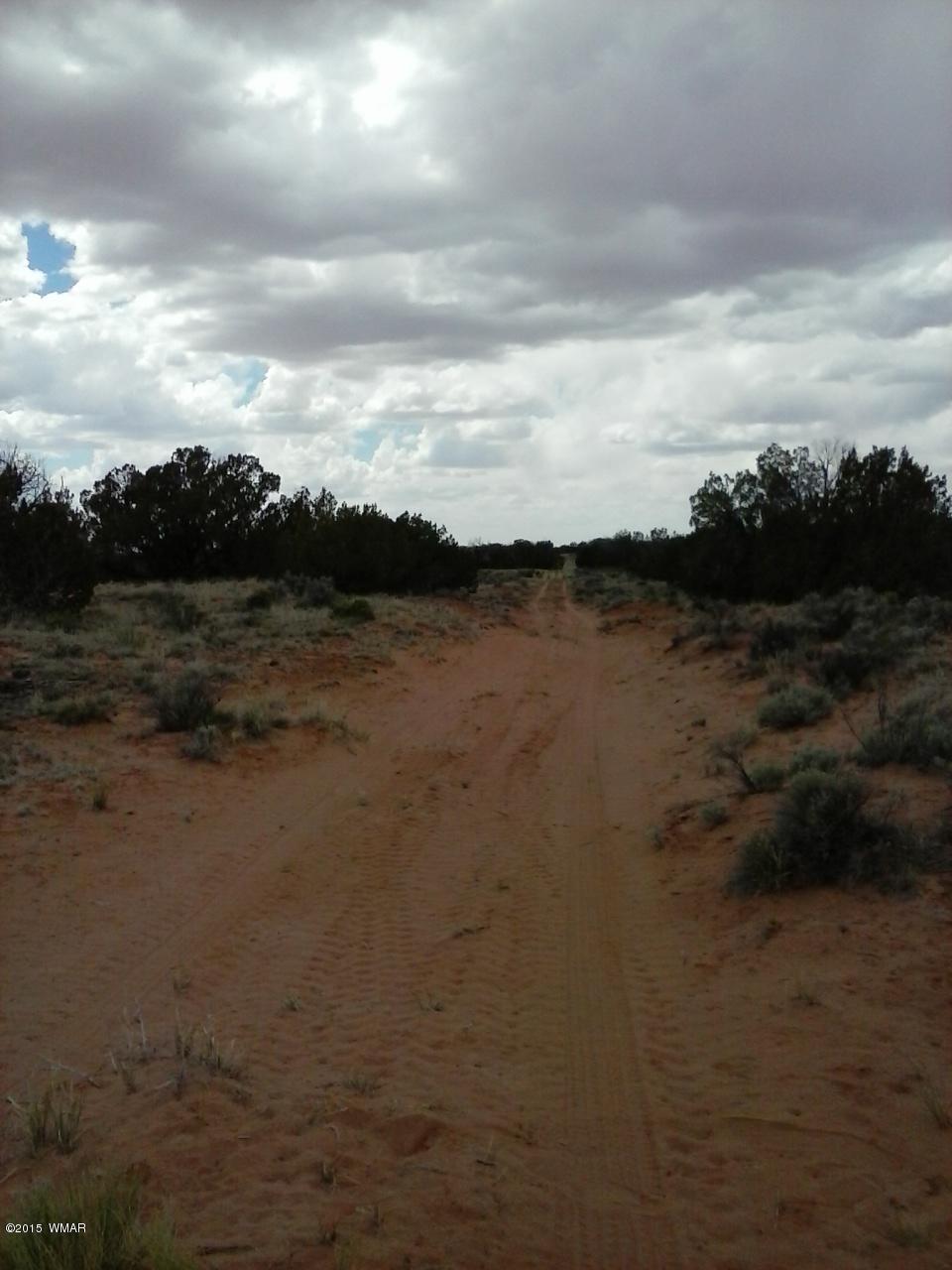 9 Sec 19 T17n R27e Chambers, AZ 86502 - Photo 3 of 14