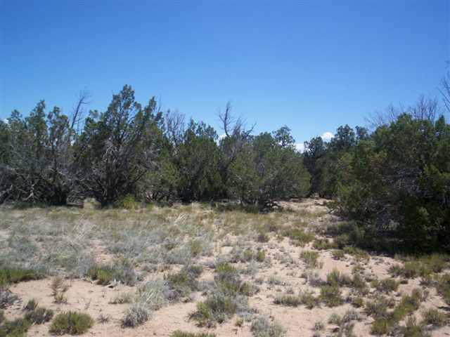 9 Sec 19 T17n R27e Chambers, AZ 86502 - Photo 6 of 14