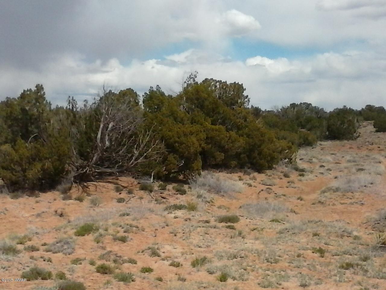 9 Sec 19 T17n R27e Chambers, AZ 86502 - Photo 8 of 14