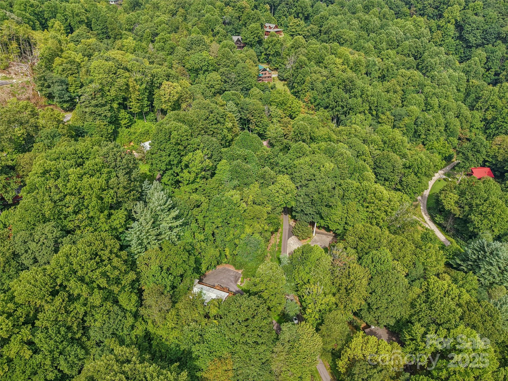 309 Nottingham Road Maggie Valley, NC 28751 - Photo 11 of 17 a backyard of a house with lots of green space and a fountain