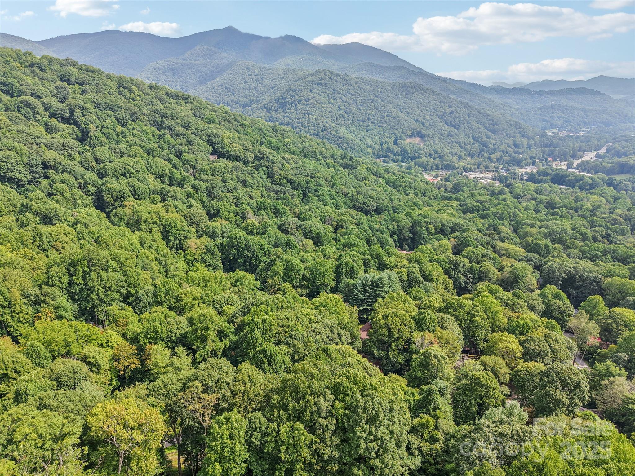 309 Nottingham Road Maggie Valley, NC 28751 - Photo 12 of 17 a view of a lush green forest with a house in the background