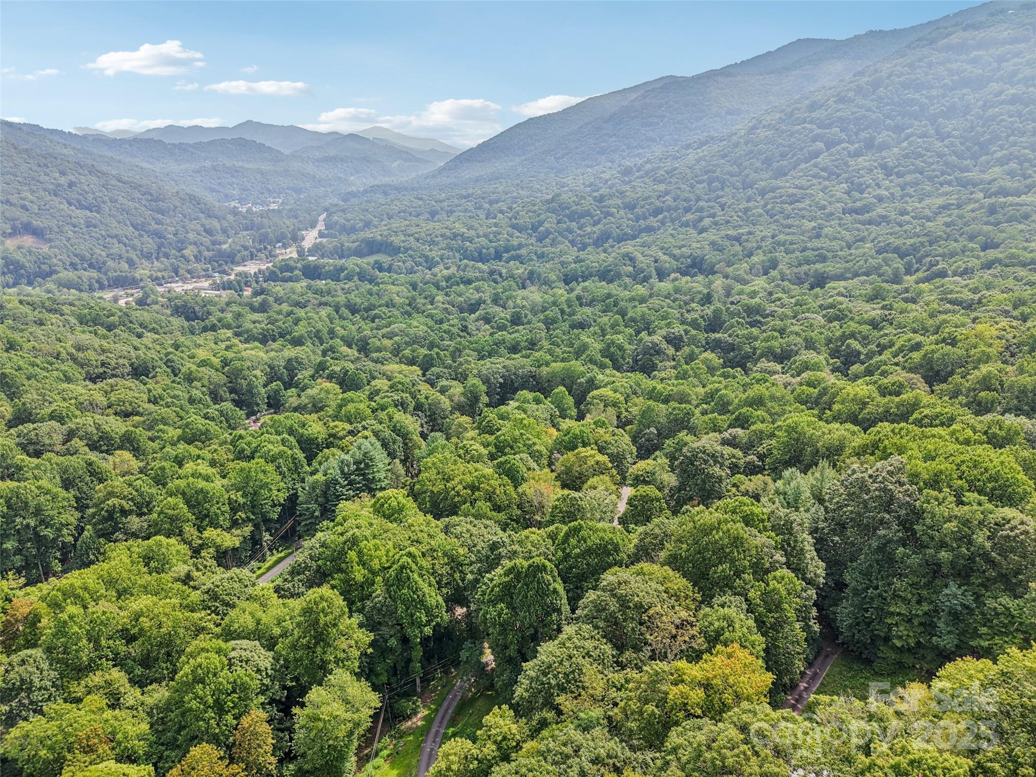 309 Nottingham Road Maggie Valley, NC 28751 - Photo 13 of 17 a view of a big yard with lots of green space