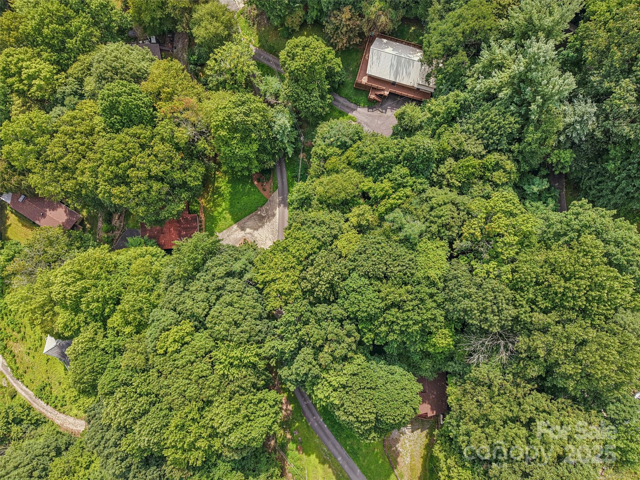 309 Nottingham Road Maggie Valley, NC 28751 - Photo 14 of 17 an aerial view of a house with a yard and street view