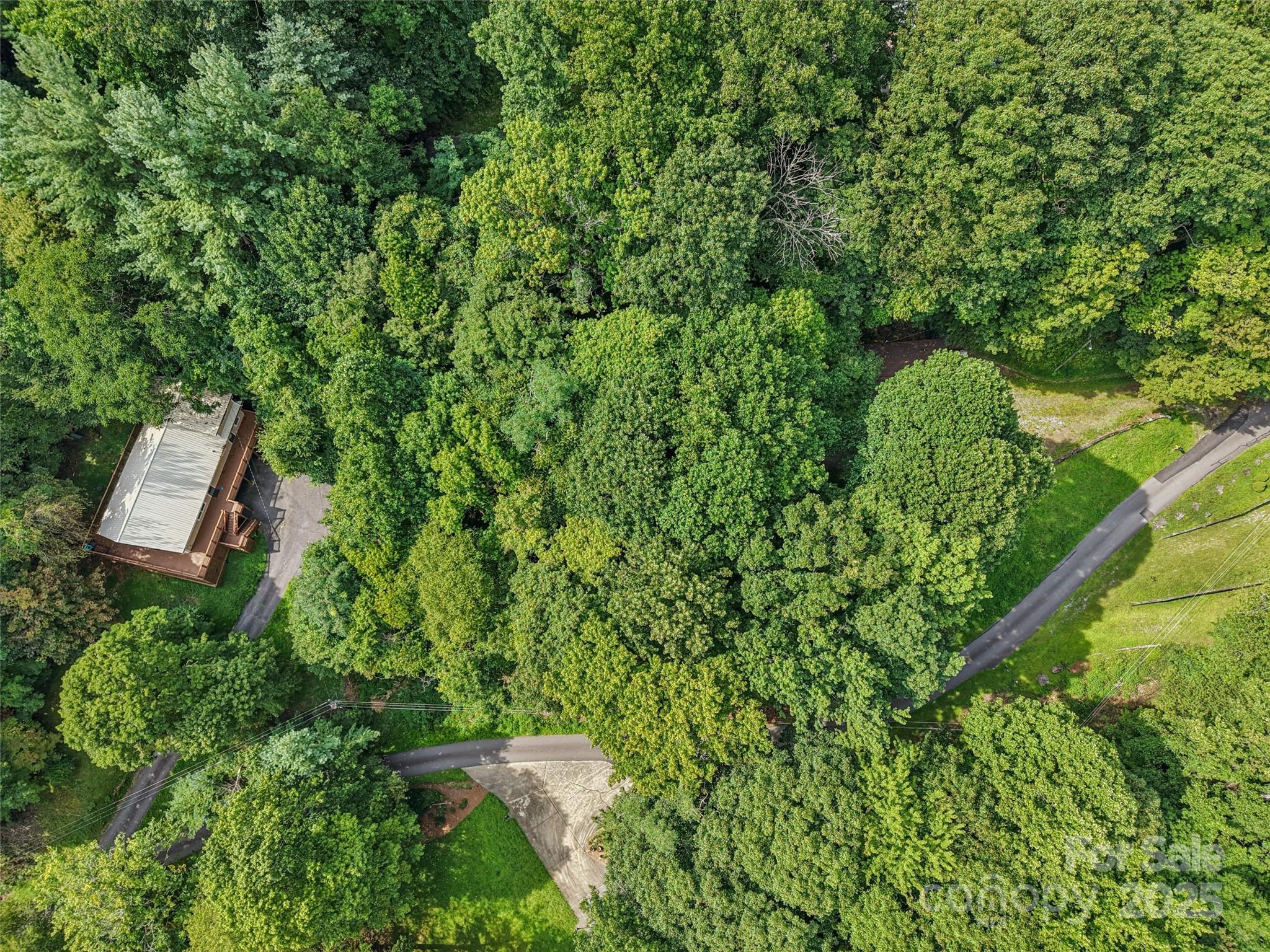 309 Nottingham Road Maggie Valley, NC 28751 - Photo 15 of 17 an aerial view of a house with a yard