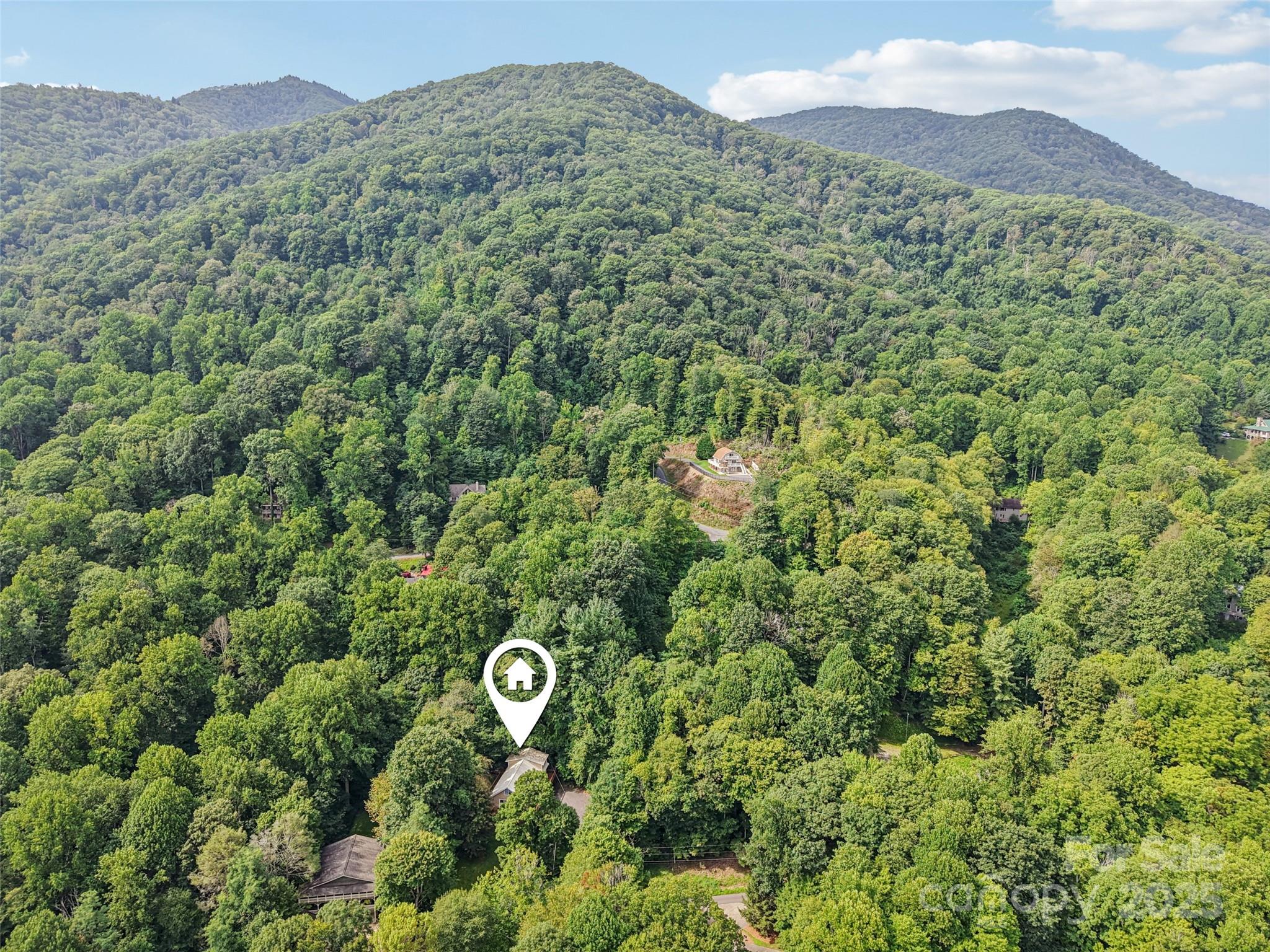 309 Nottingham Road Maggie Valley, NC 28751 - Photo 2 of 17 a view of a forest with a mountain in the background