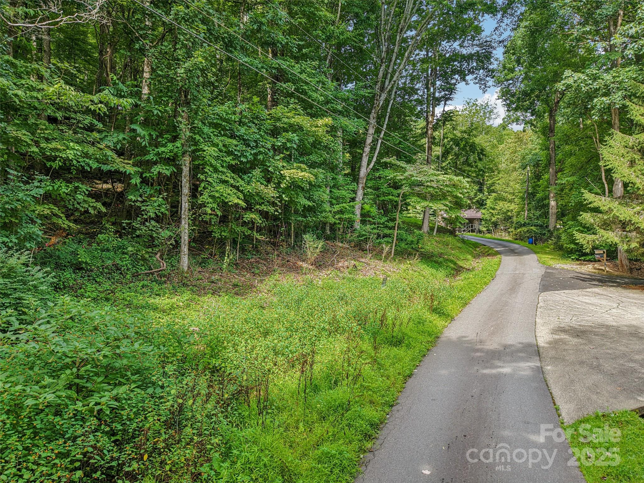 309 Nottingham Road Maggie Valley, NC 28751 - Photo 3 of 17 a view of park with large trees