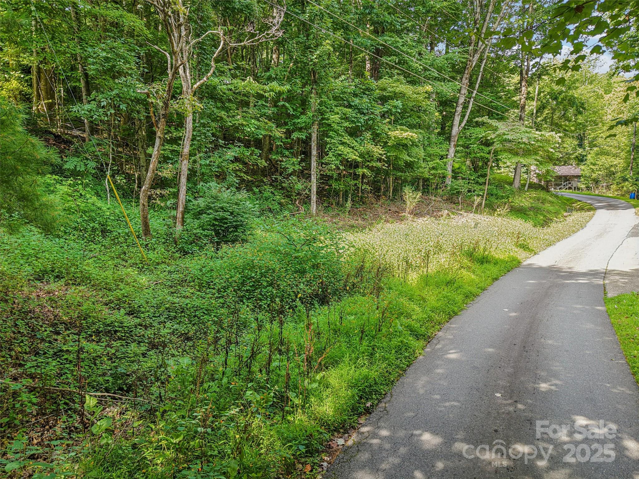 309 Nottingham Road Maggie Valley, NC 28751 - Photo 4 of 17 a view of a garden with large trees