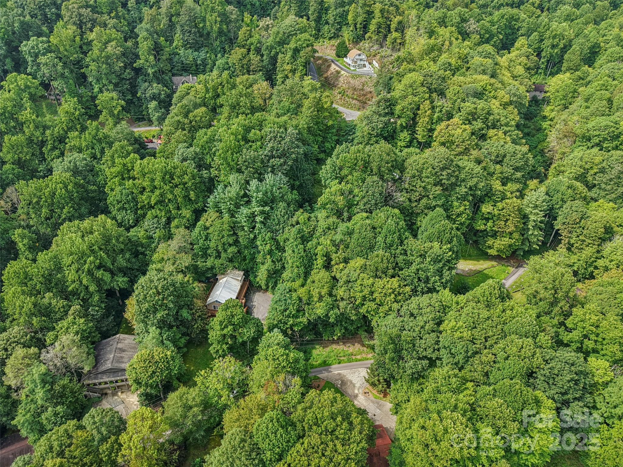 309 Nottingham Road Maggie Valley, NC 28751 - Photo 6 of 17 a view of a house with a tree