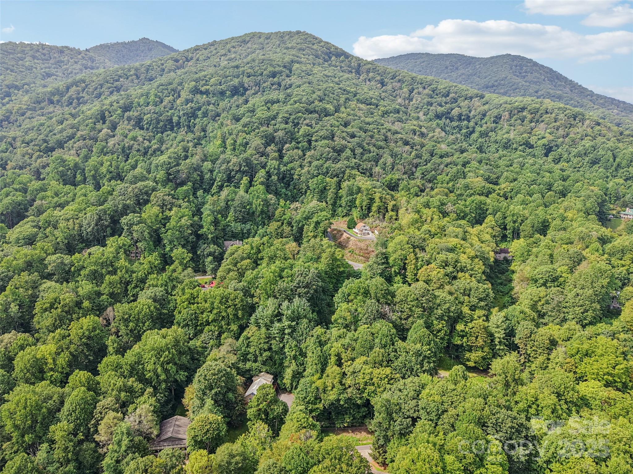 309 Nottingham Road Maggie Valley, NC 28751 - Photo 7 of 17 a view of a large trees with a mountain in the background