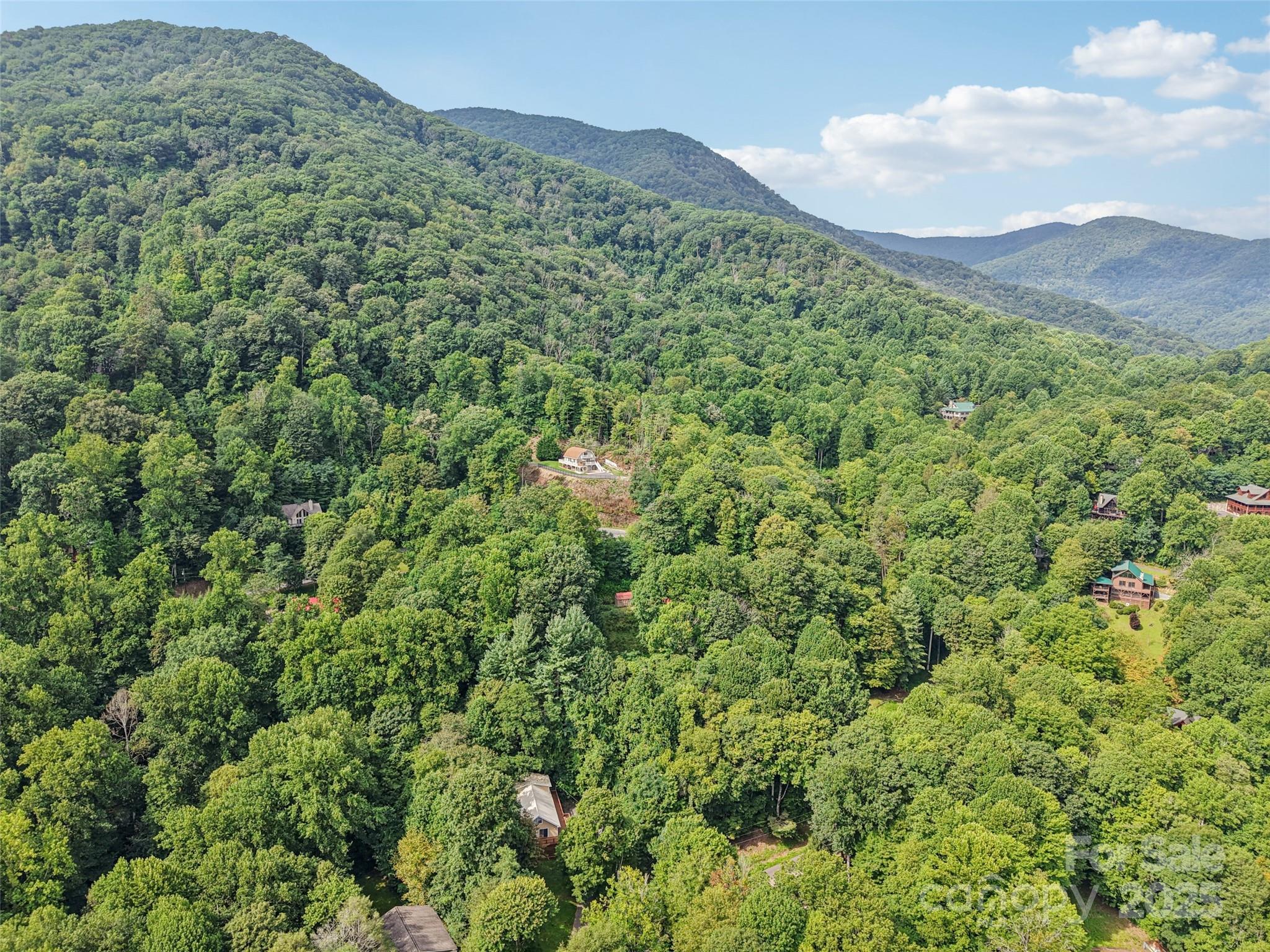 309 Nottingham Road Maggie Valley, NC 28751 - Photo 8 of 17 a view of a lush green forest with a mountain in the background