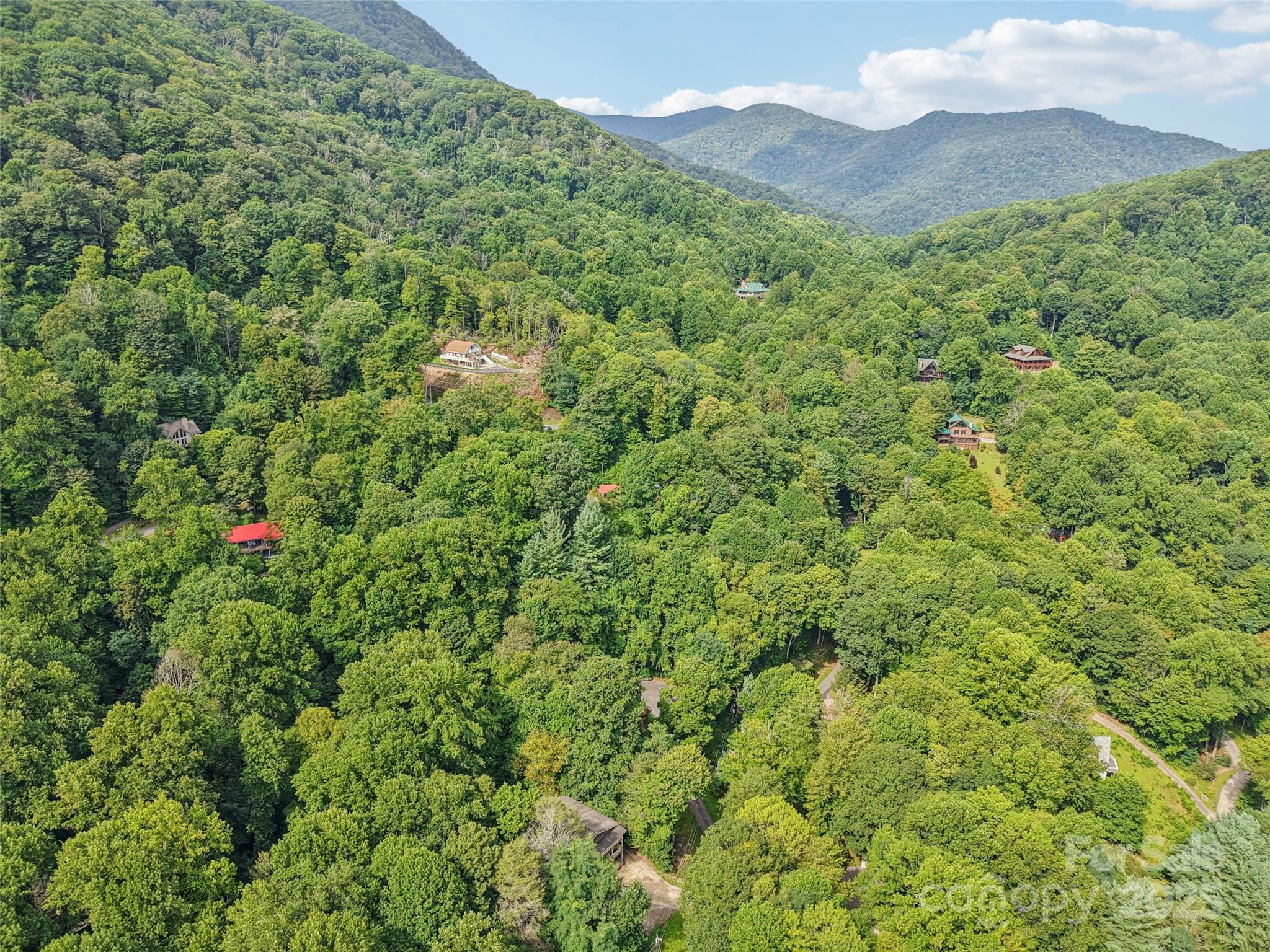 309 Nottingham Road Maggie Valley, NC 28751 - Photo 9 of 17 a view of a big yard with lots of bushes