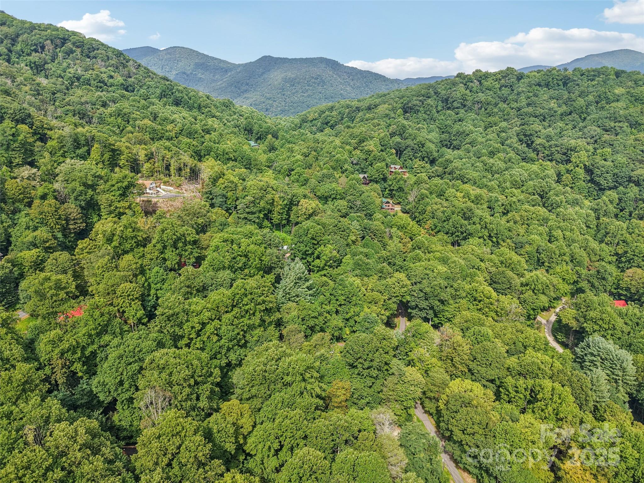 309 Nottingham Road Maggie Valley, NC 28751 - Photo 10 of 17 a view of a lush green forest with a house in the background