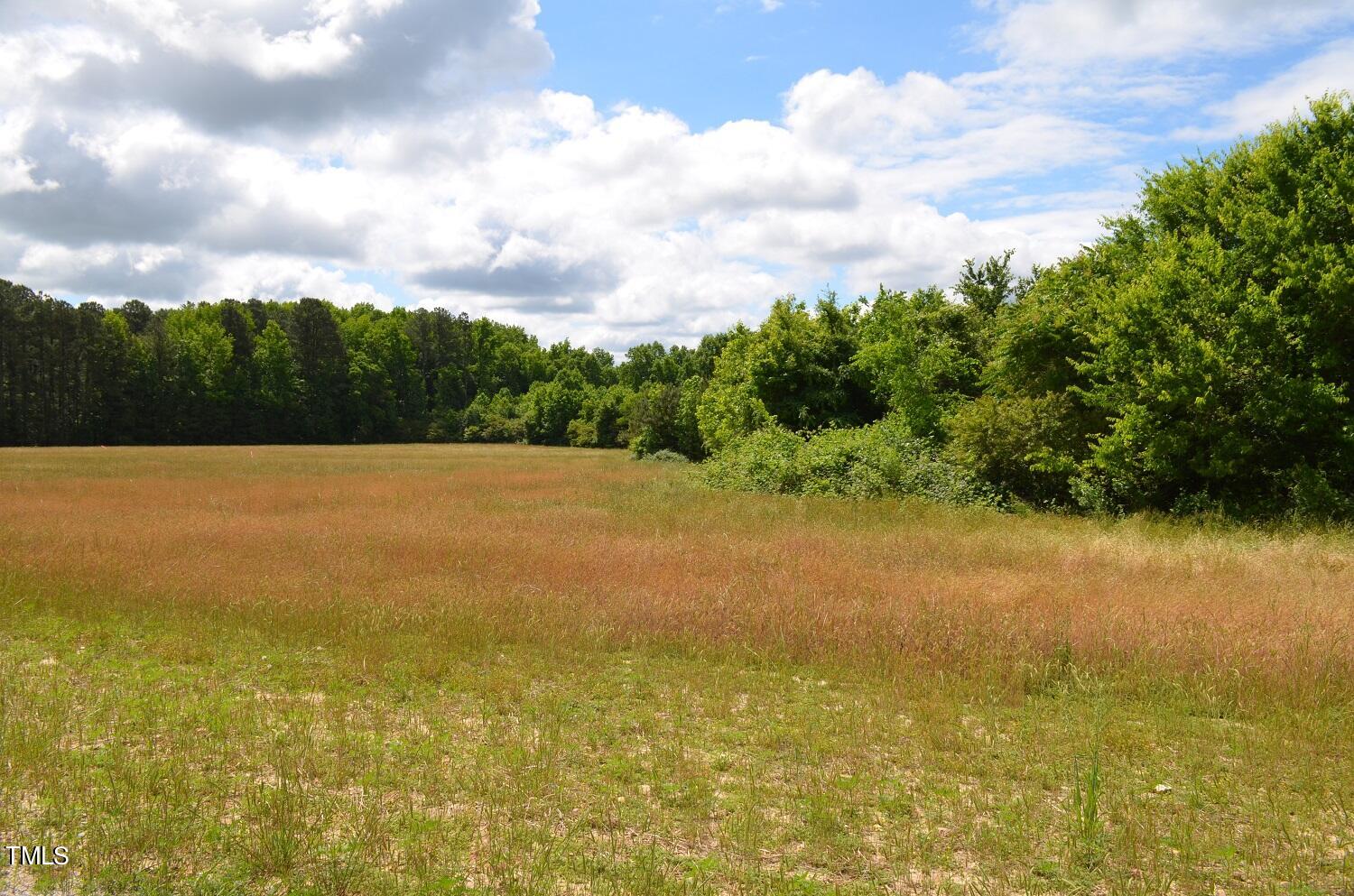 Lot E Vicksboro Road Henderson, NC 27537 - Photo 8 of 8 Vicksboro Rd Pic7