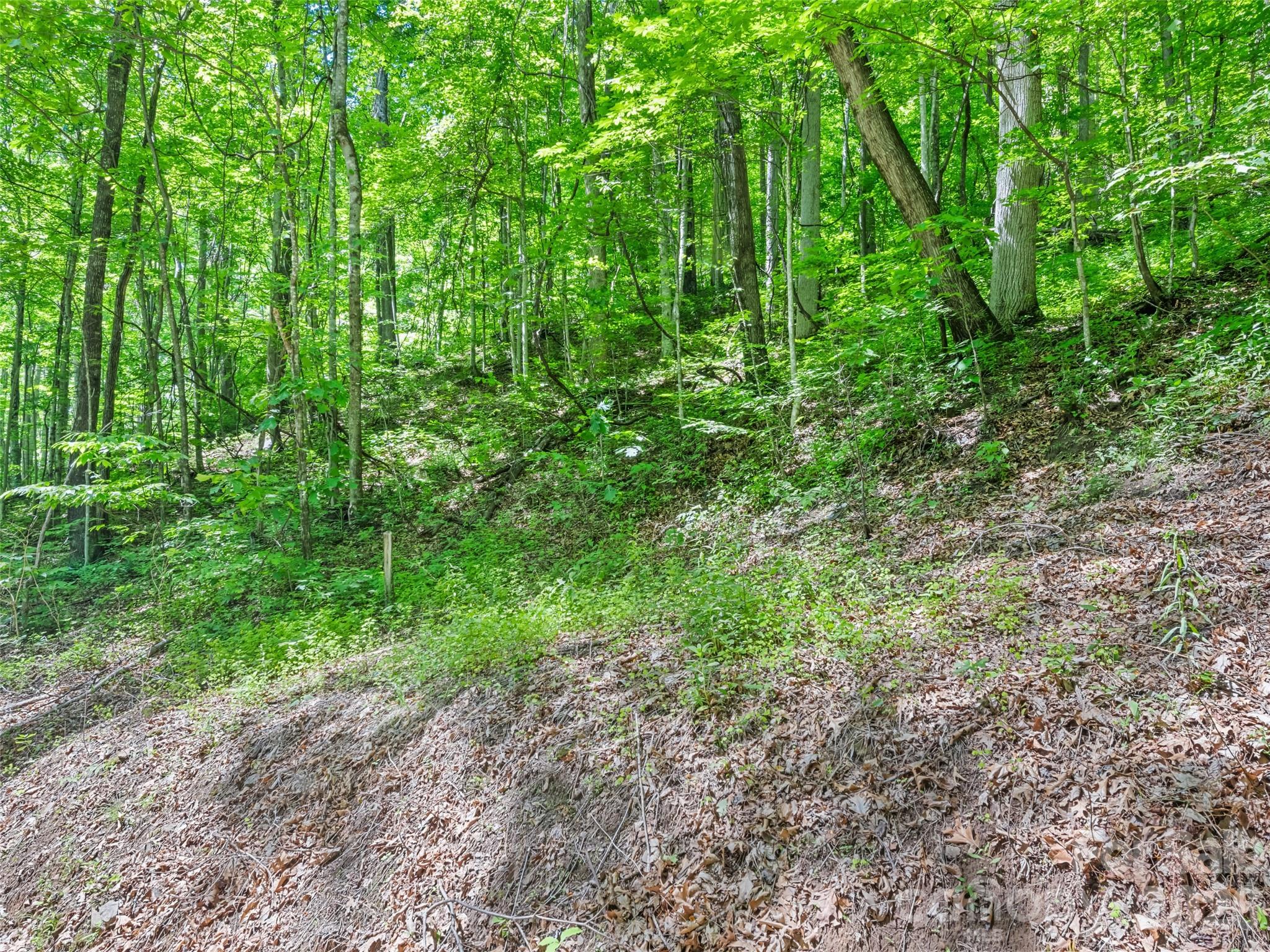 0 Rustic Road Waynesville, NC 28786 - Photo 2 of 11
