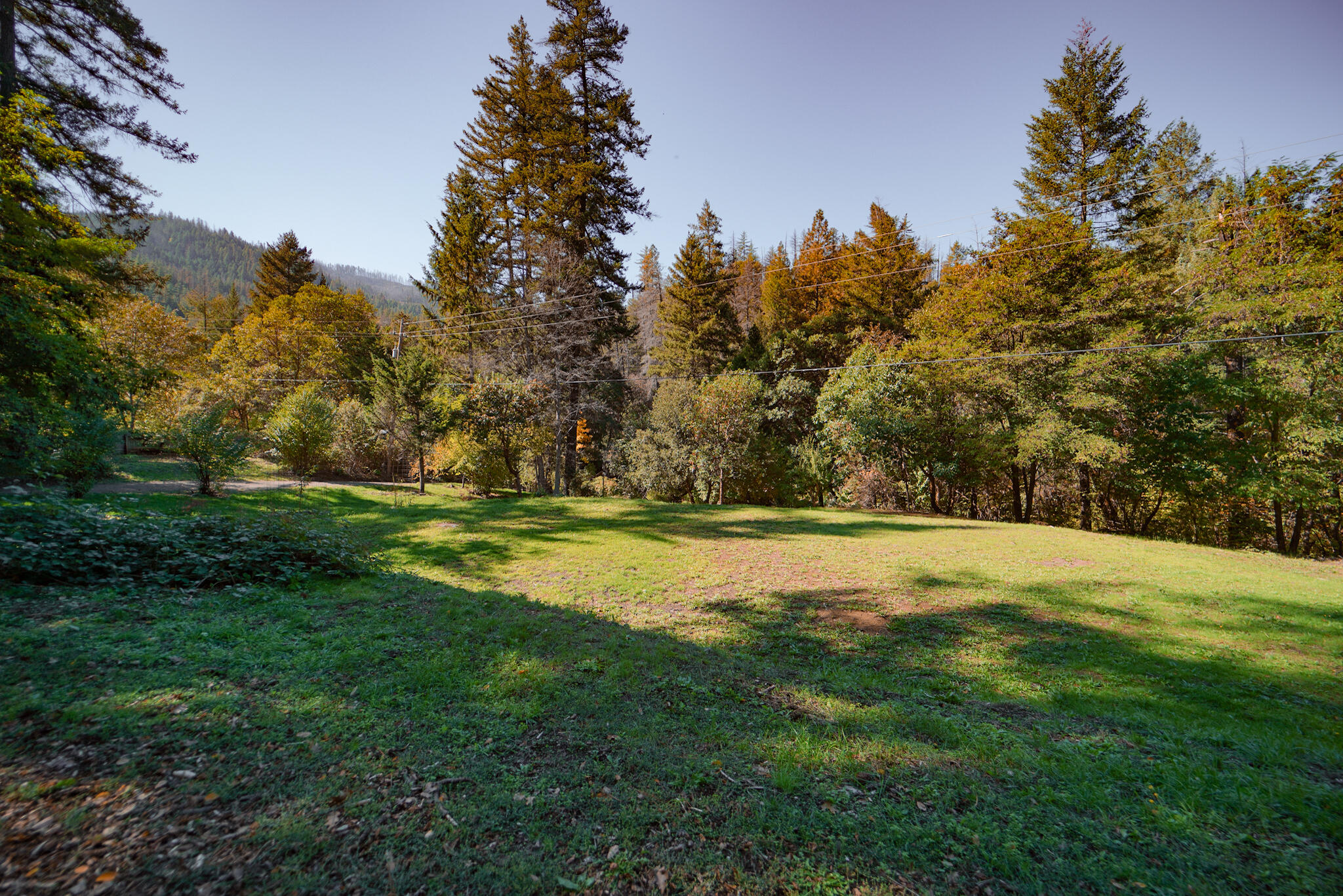 420 Price Creek Road Big Bar, CA 96010 - Photo 63 of 63 meadow