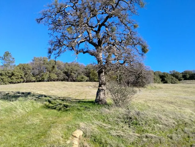 $225,850 | 24075 Clayton Road, Grass Valley, CA 95949