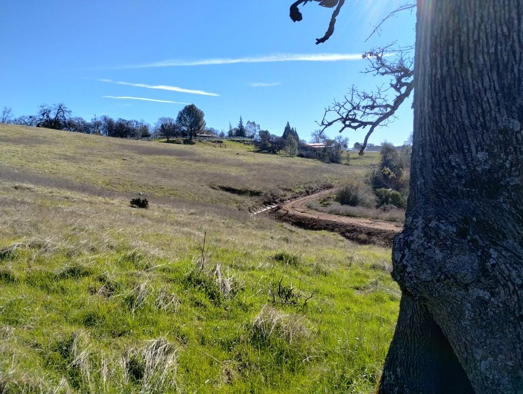 24075 Clayton Road Grass Valley, CA 95949 - Photo 11 of 25