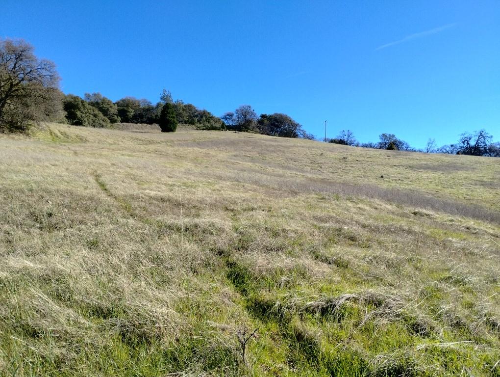 24075 Clayton Road Grass Valley, CA 95949 - Photo 15 of 25