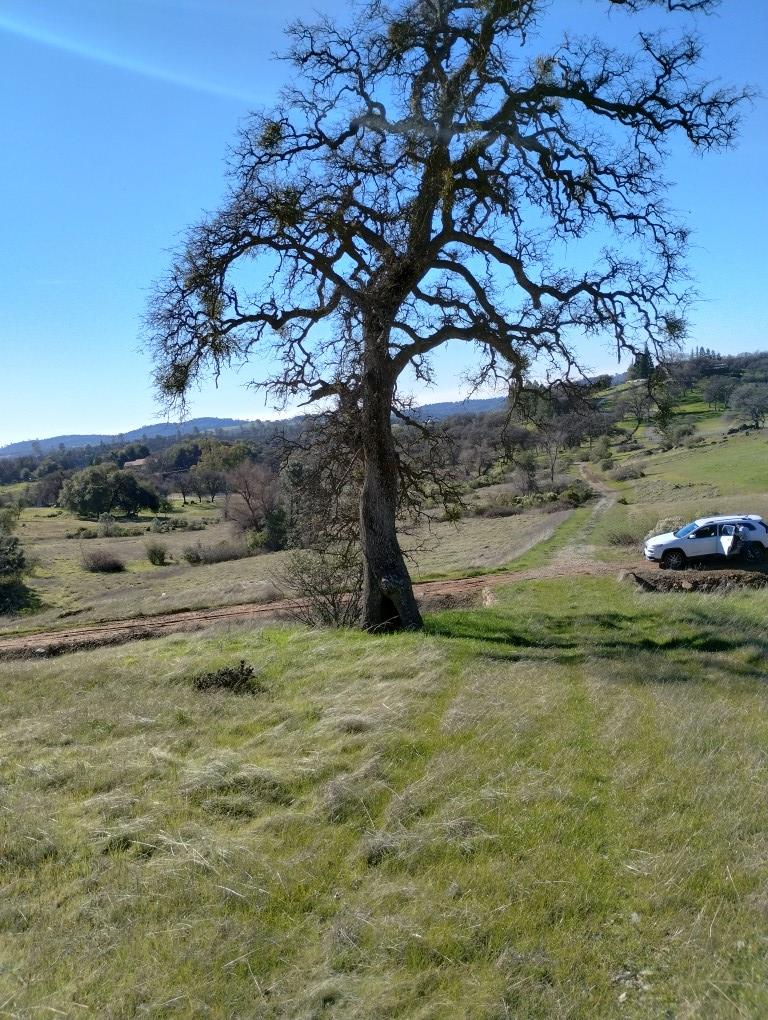 24075 Clayton Road Grass Valley, CA 95949 - Photo 17 of 25