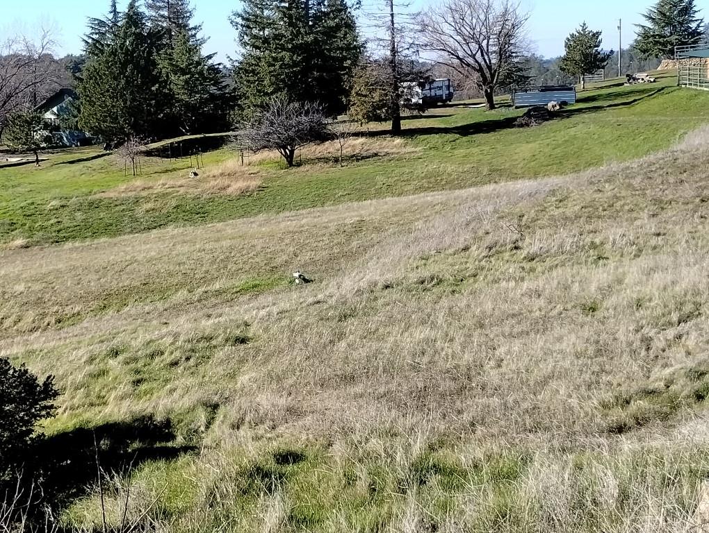 24075 Clayton Road Grass Valley, CA 95949 - Photo 20 of 25