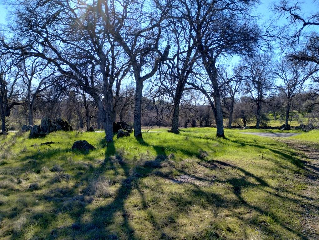 24075 Clayton Road Grass Valley, CA 95949 - Photo 21 of 25