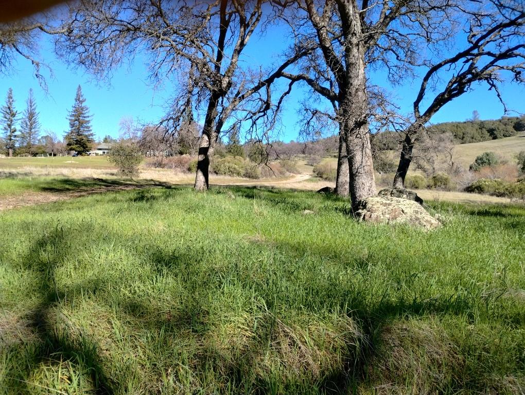 24075 Clayton Road Grass Valley, CA 95949 - Photo 24 of 25