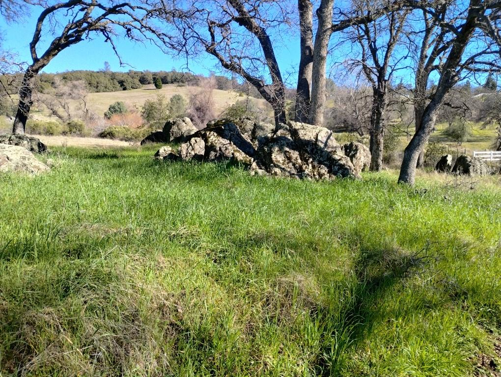 24075 Clayton Road Grass Valley, CA 95949 - Photo 25 of 25