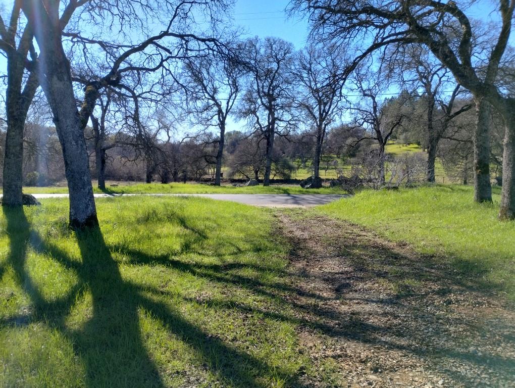 24075 Clayton Road Grass Valley, CA 95949 - Photo 5 of 25