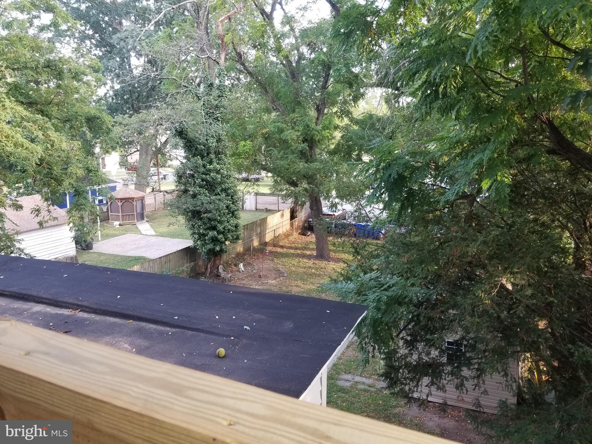 212 Warren Street Beverly, NJ 08010 - Photo 28 of 33 a view of a yard and tree