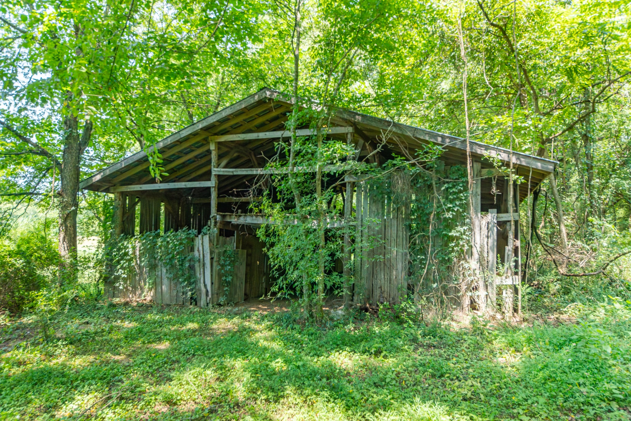 2863 North Cross Bridges Road Columbia, TN 38401 - Photo 77 of 81 Gallery Image 77