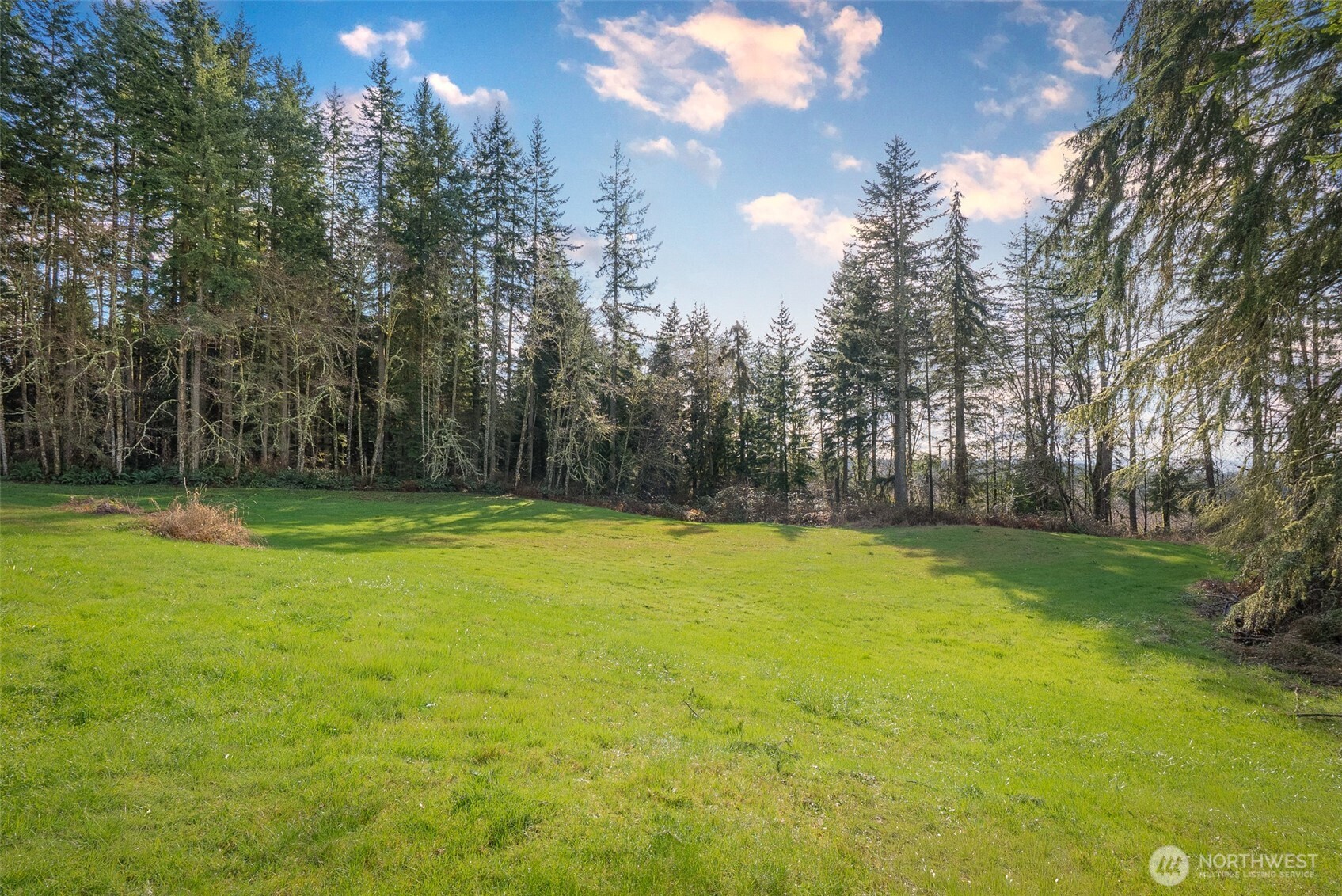 4431 Newberg Road Snohomish, WA 98290 - Photo 31 of 40 Gallery Image 31