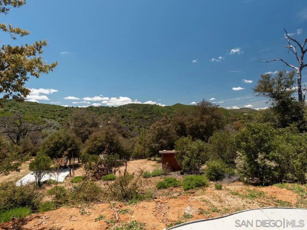6050 Engineers Road Julian, CA 92036 - Photo 11 of 64 a view of a yard with a tree