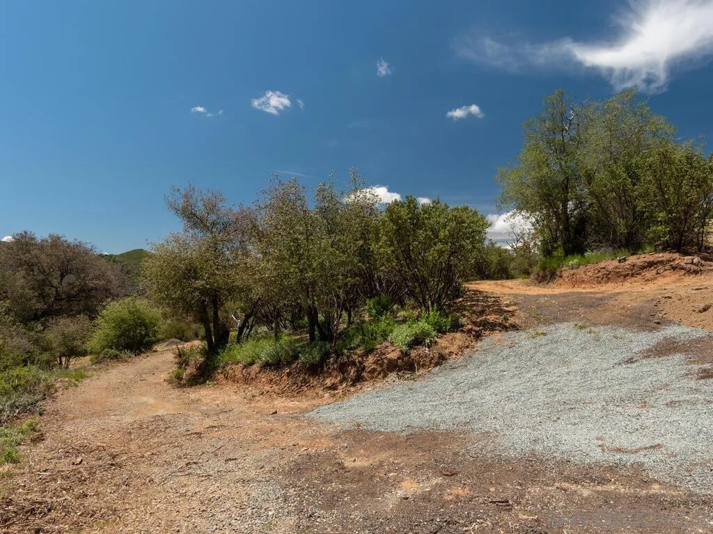 6050 Engineers Road Julian, CA 92036 - Photo 12 of 64 a view of a dry yard with trees