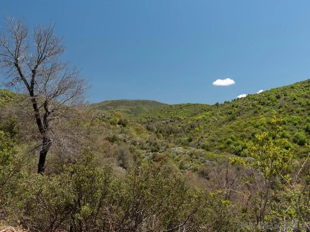 6050 Engineers Road Julian, CA 92036 - Photo 13 of 64 a view of a field