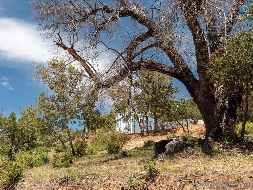 6050 Engineers Road Julian, CA 92036 - Photo 14 of 64 a backyard of a house with a yard and outdoor seating