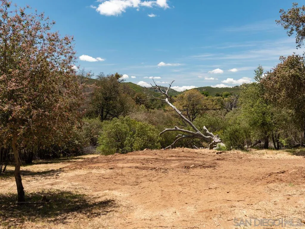 6050 Engineers Road Julian, CA 92036 - Photo 23 of 64 a view of a yard covered with snow in the background